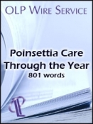 Poinsettia Care Through the Year