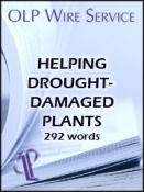 Helping Drought-Damaged Plants