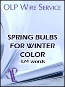 Spring Bulbs for Winter Color