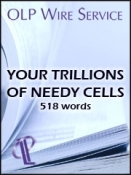 Your Trillions of Needy Cells 